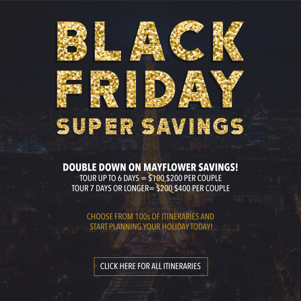 Black Friday Savings