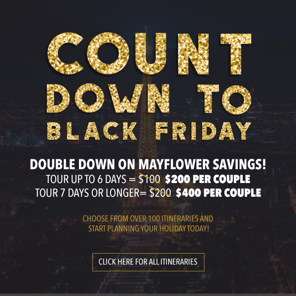 Black Friday Savings