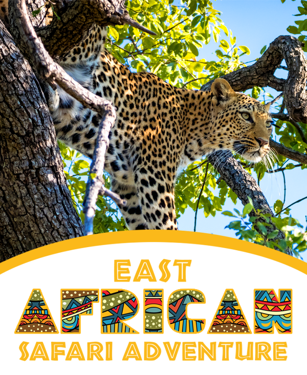East African Safari Adventure