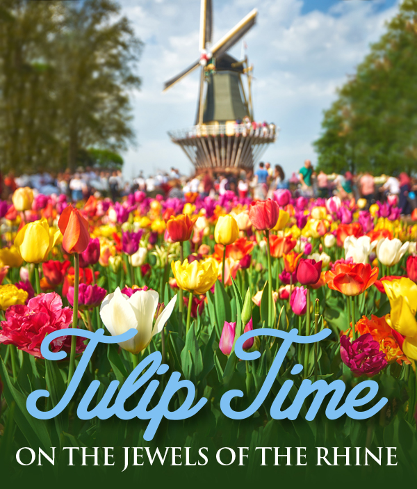 Tulip Time on the Jewels of the Rhine