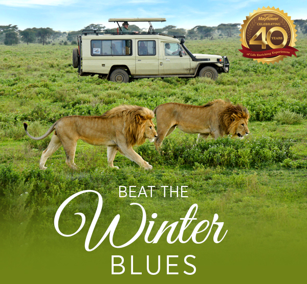 Beat the Winter Blues