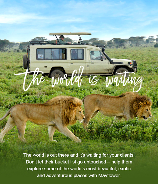 The World is Waiting