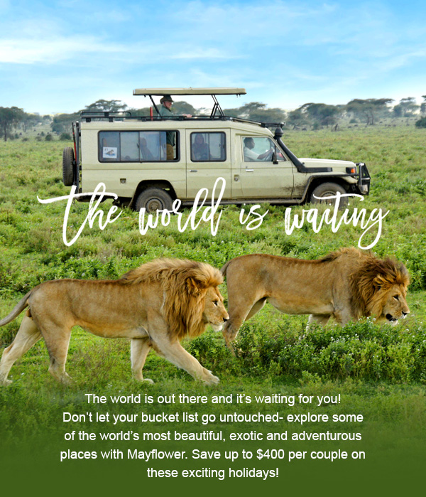 The World is Waiting