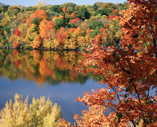 Autumn Folliage in New England