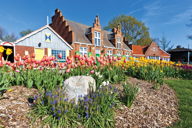 Great Lakes During Tulip Season