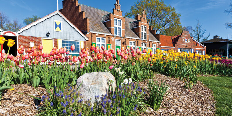 holland-tulip-festival-homes Great Lakes During Tulip Season