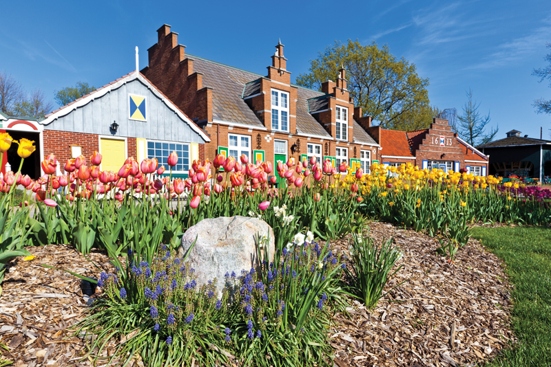 Great Lakes During Tulip Season