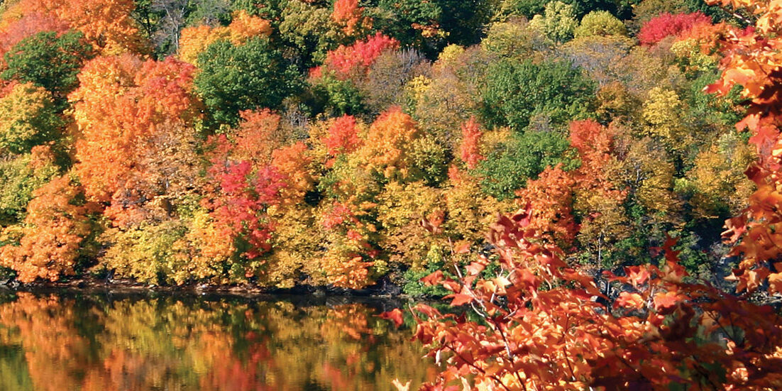 reflecting-lake-header