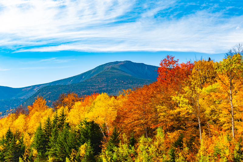 New England in Autumn