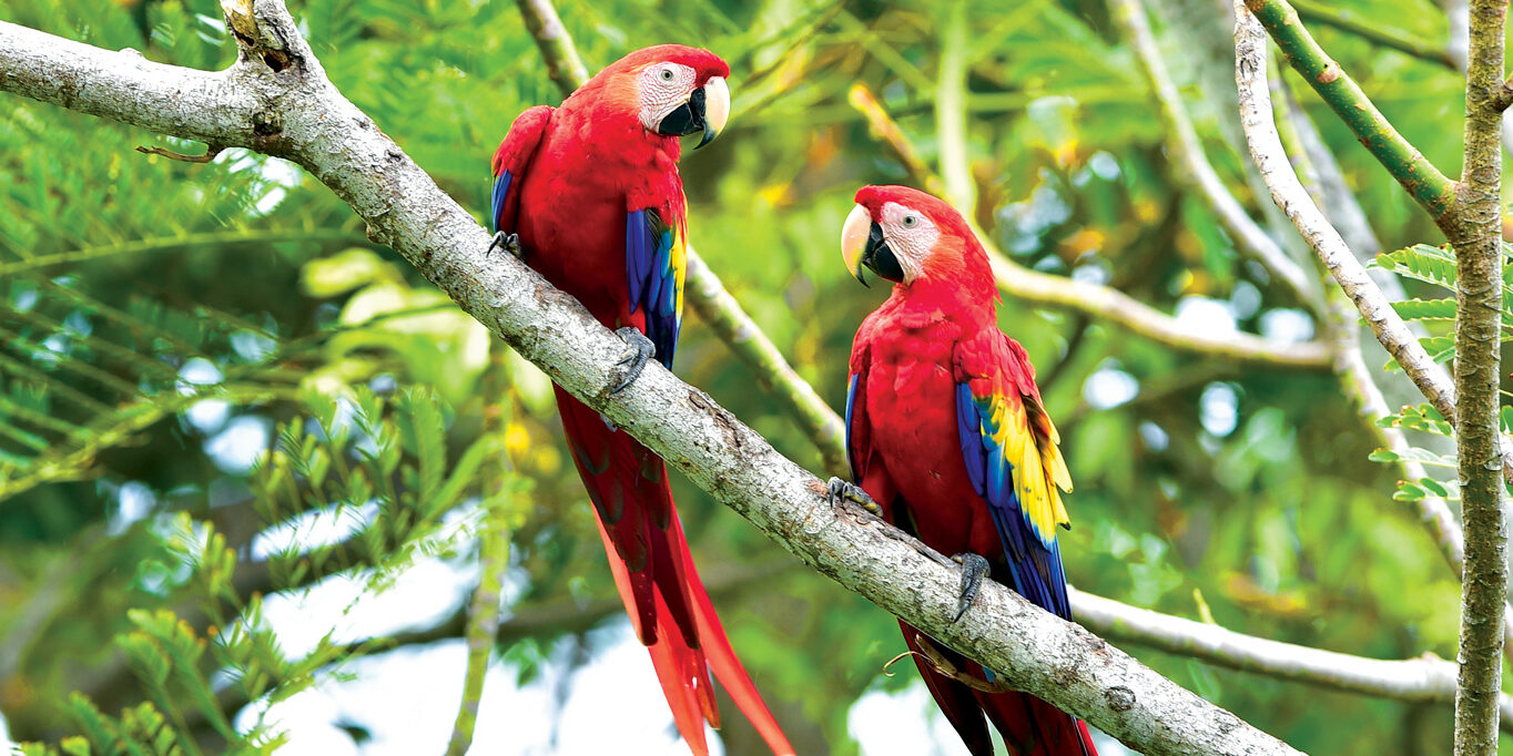 costa-rica-header-image