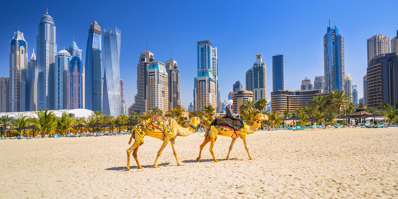 desert-adventure-header