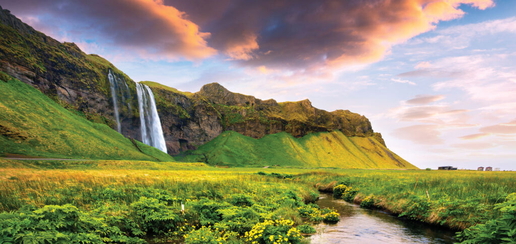 FREE ROUND TRIP AIRFARE
7 DAYS • 7 MEALSÂ