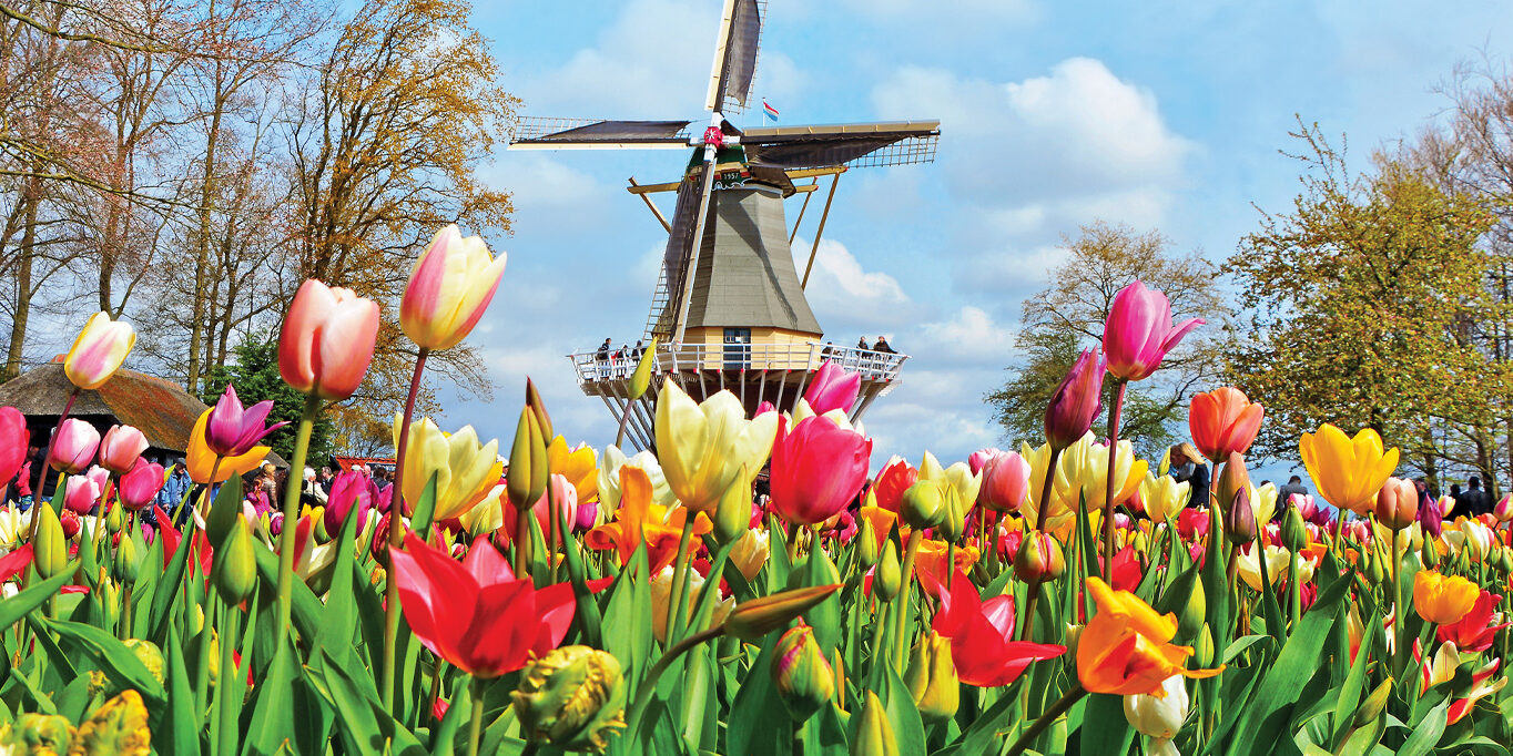 tulip-time-jewels-rhine-header