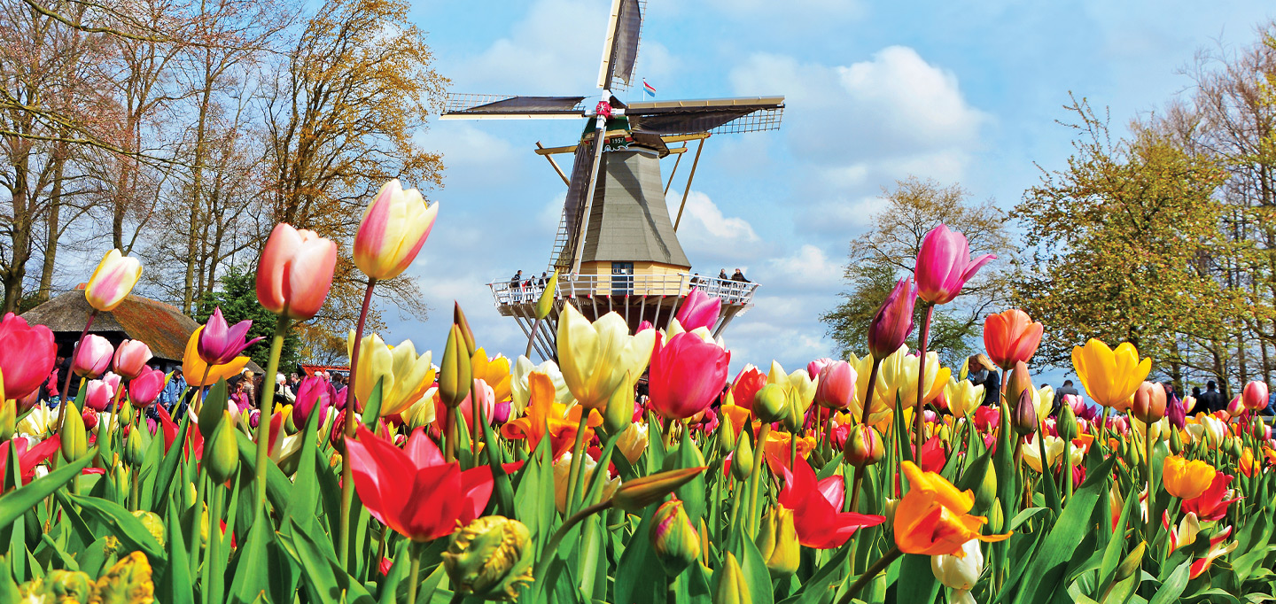Tulip Time on Jewels of the Rhine 2026 Zurich to Amsterdam