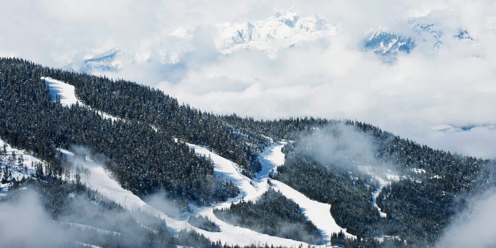 Tree,Lined,Ski,Slopes,,Whistler,Mountain,Resort,,Venue,Of,The North American Skiing.jpg