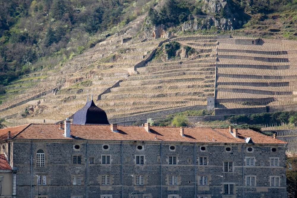 Tournon-sur-Rhône Hilltop 