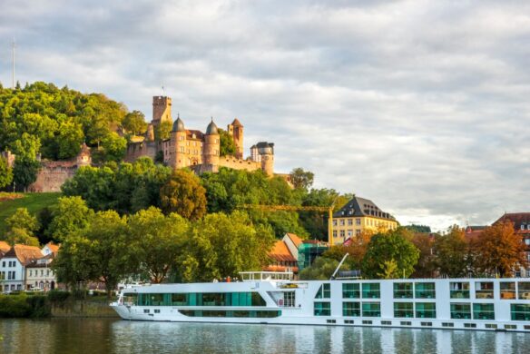 Wertheim River Cruise