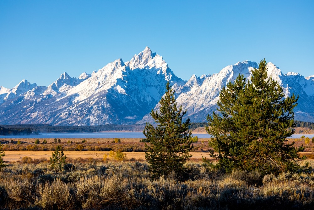 Jackson Hole Wyoming