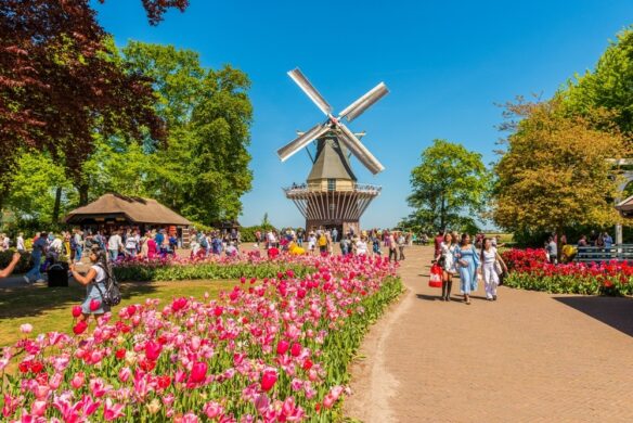 Keukenhof Gardens Lisse Netherlands