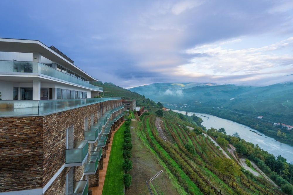 Lamego Douro Valley Grape Vineyards 