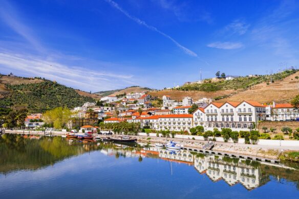 Lamego River Cruise on the Douro