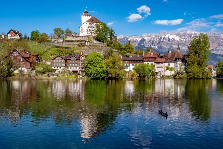 Liechtenstein River Cruise on the Rhine