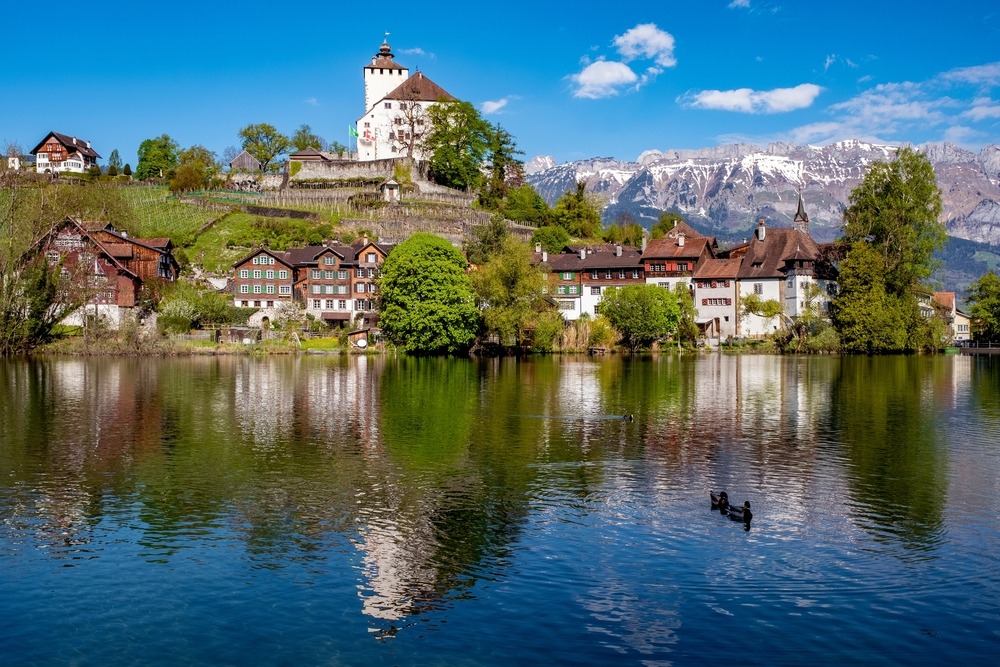 Liechtenstein River Cruise on the Rhine