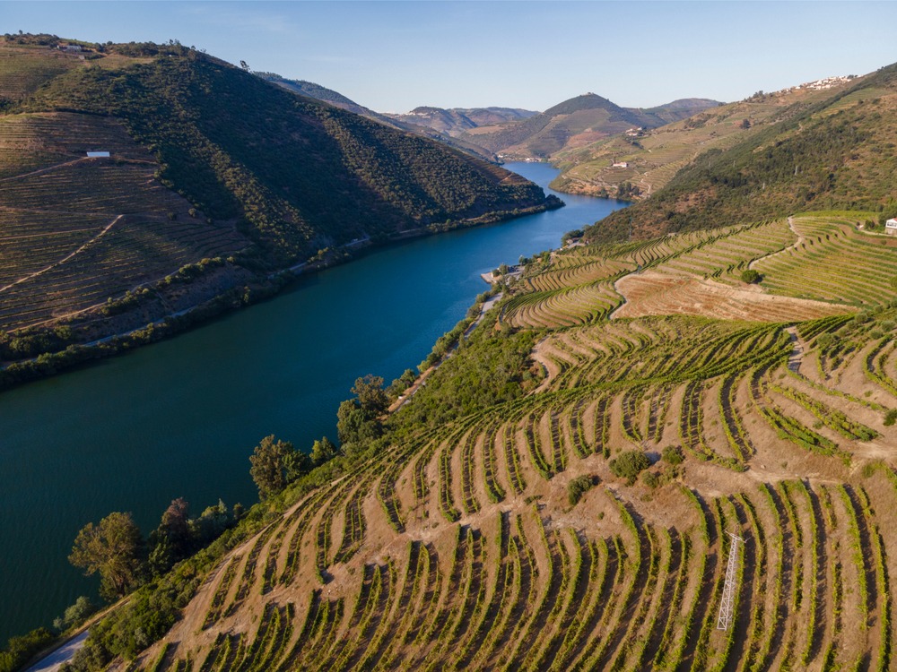 Régua, Portugal Douro River
