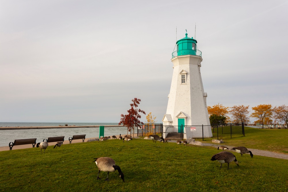 Autumn Canadian Maritime Coast
