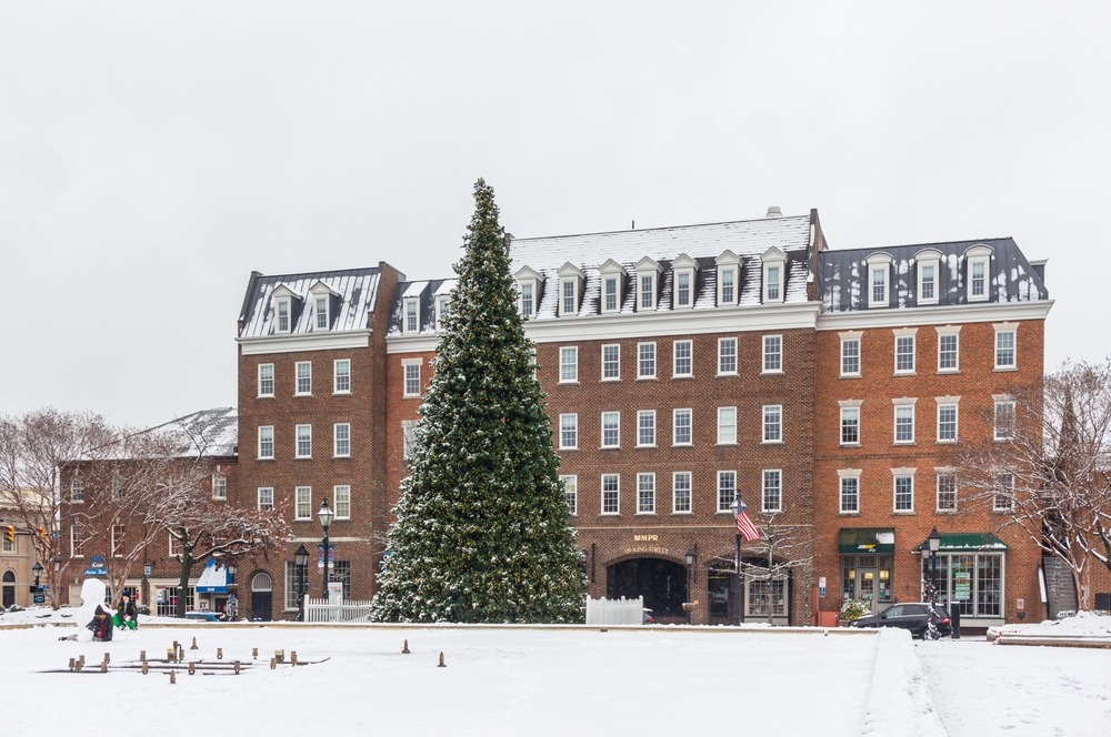 alexandria, va christmas