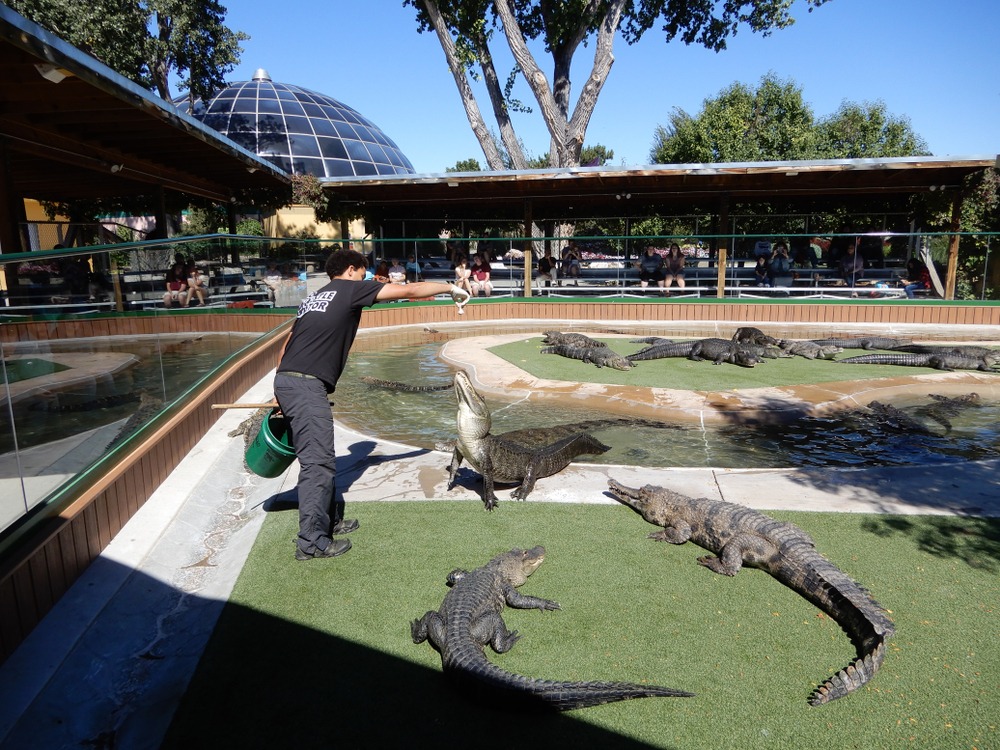 Rapid City, Reptile Gardens 