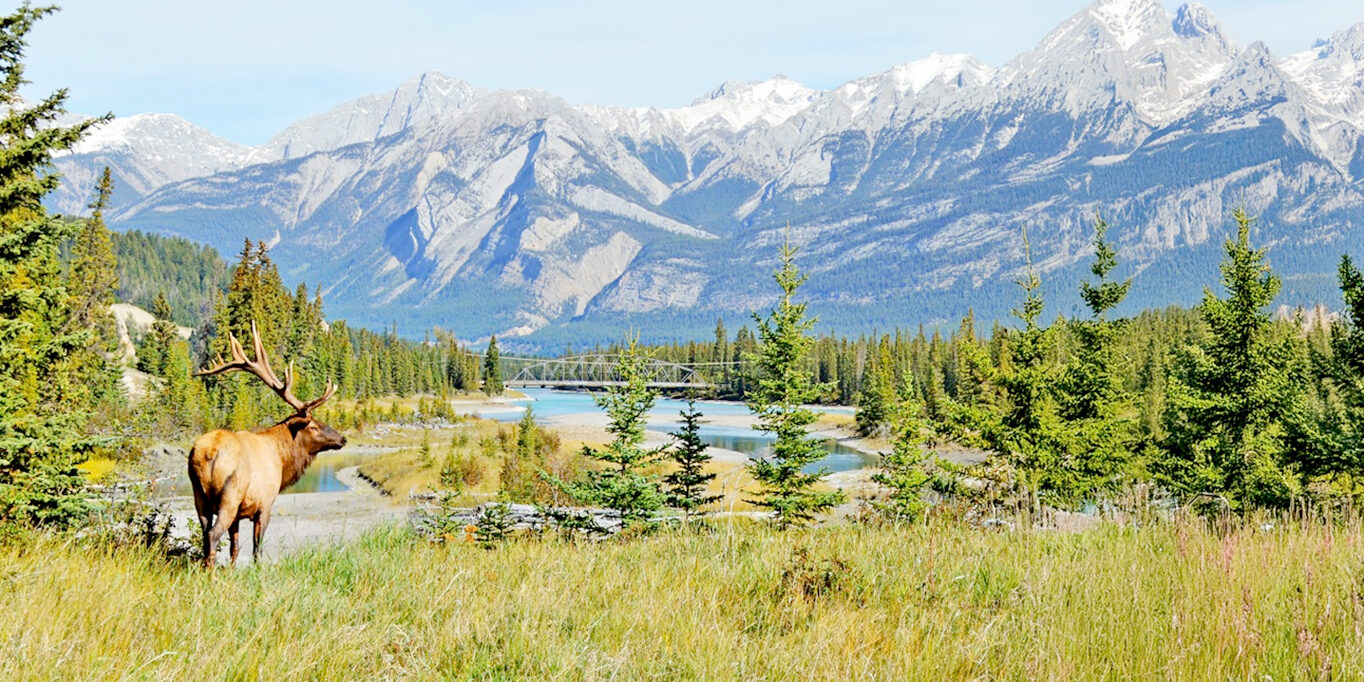 best-of-canadian-rockies-header-new