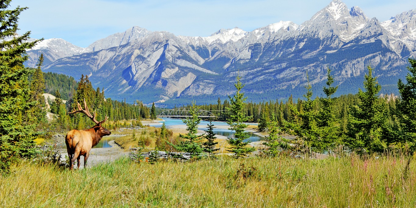 best-of-canadian-rockies-header