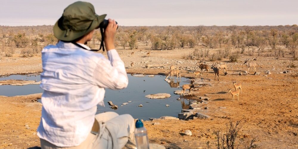 Africa Bird Watching