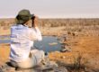 Africa Bird Watching