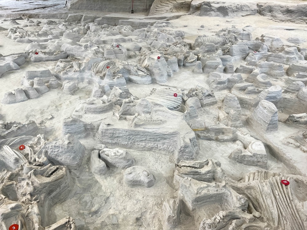Ashfall Fossil Beds
