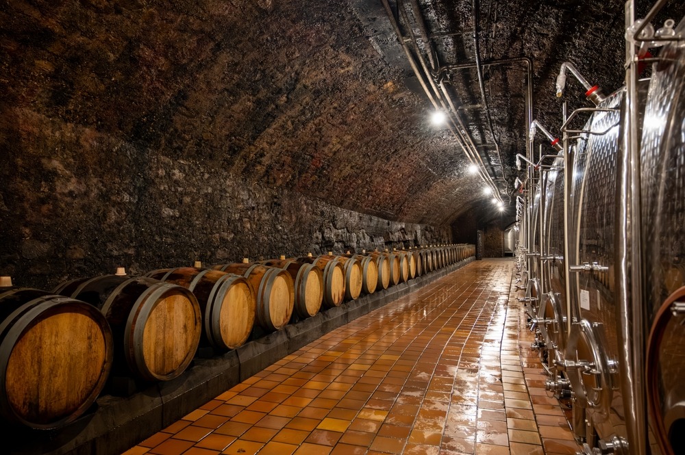 Origin of Cava – Codorníu Winery