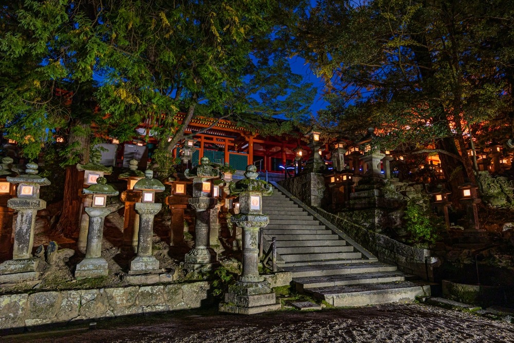The Stone Lanterns of Kasuga Shrine Japan
