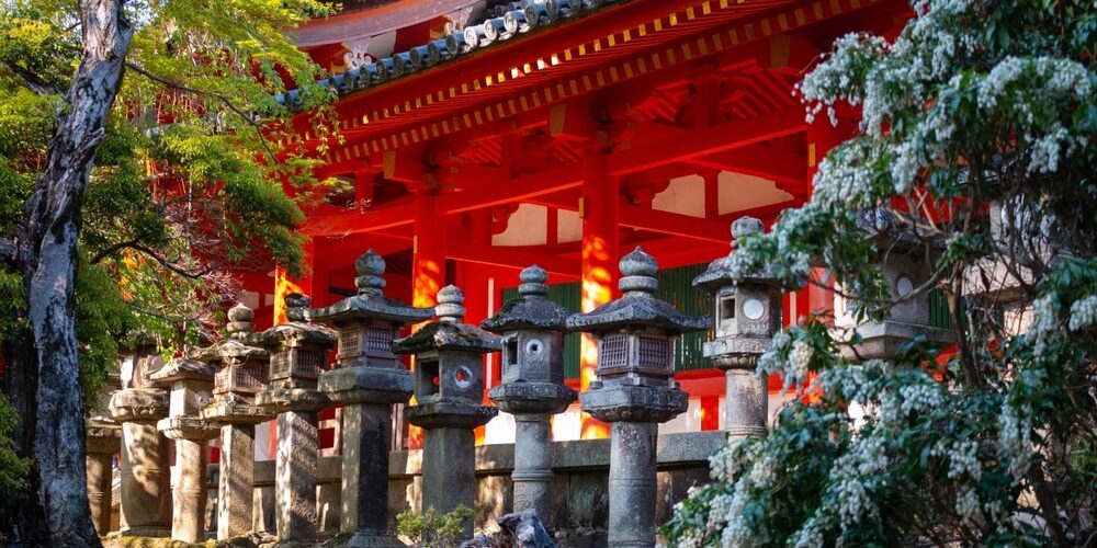 The Stone Lanterns of Kasuga Shrine