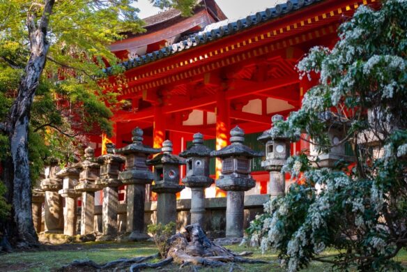 The Stone Lanterns of Kasuga Shrine