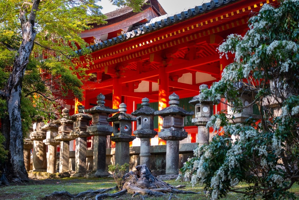 The Stone Lanterns of Kasuga Shrine