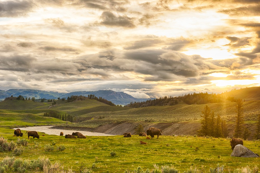 Yellowstone by horseback