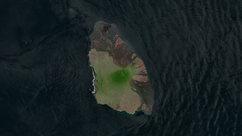 pinta island galapagos