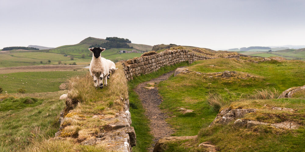 Hadrian's wall shaped britain and scotland