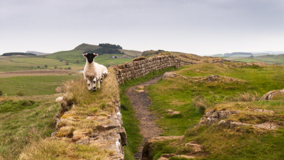 Hadrian's wall shaped britain and scotland