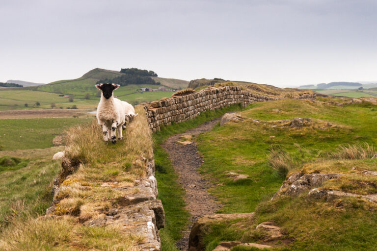Hadrian's wall shaped britain and scotland