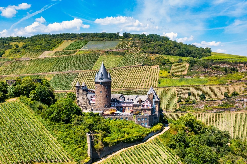 Mittelrhein Vineyards 