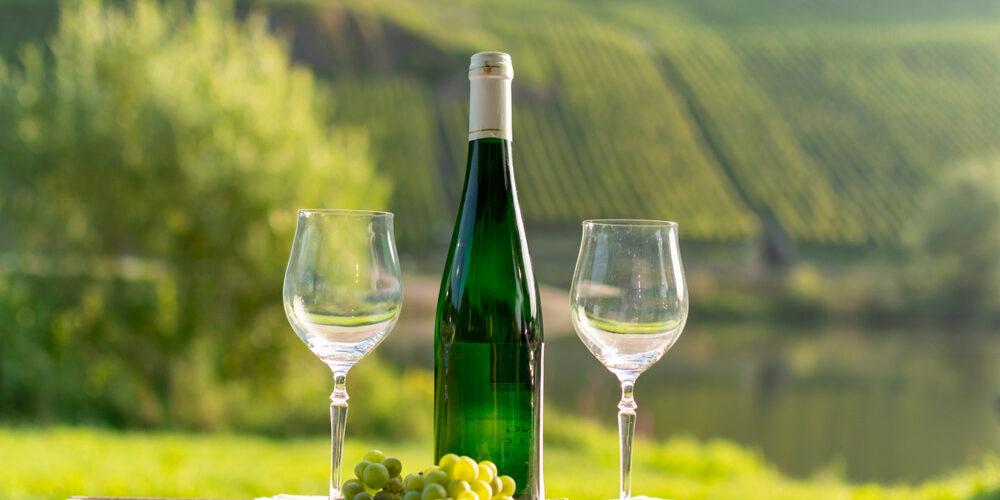 Rhine River Wine Cruising