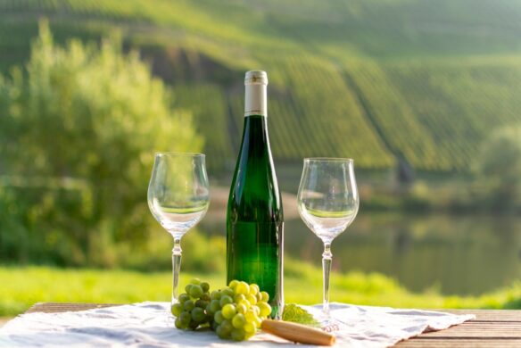 Rhine River Wine Cruising